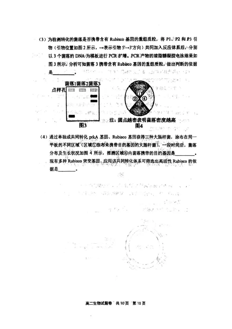 河南省安鹤新联盟2024-2025学年高二下学期5月联考生物试卷（图片版，含答案）_2024-2025高二（7-7月题库）_2025年05月试卷_0530河南省安鹤新联盟2024-2025学年高二下学期5月联考
