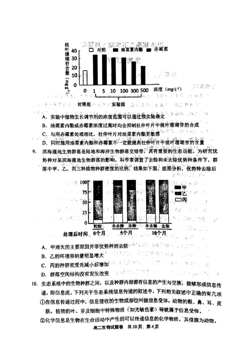 河南省安鹤新联盟2024-2025学年高二下学期5月联考生物试卷（图片版，含答案）_2024-2025高二（7-7月题库）_2025年05月试卷_0530河南省安鹤新联盟2024-2025学年高二下学期5月联考