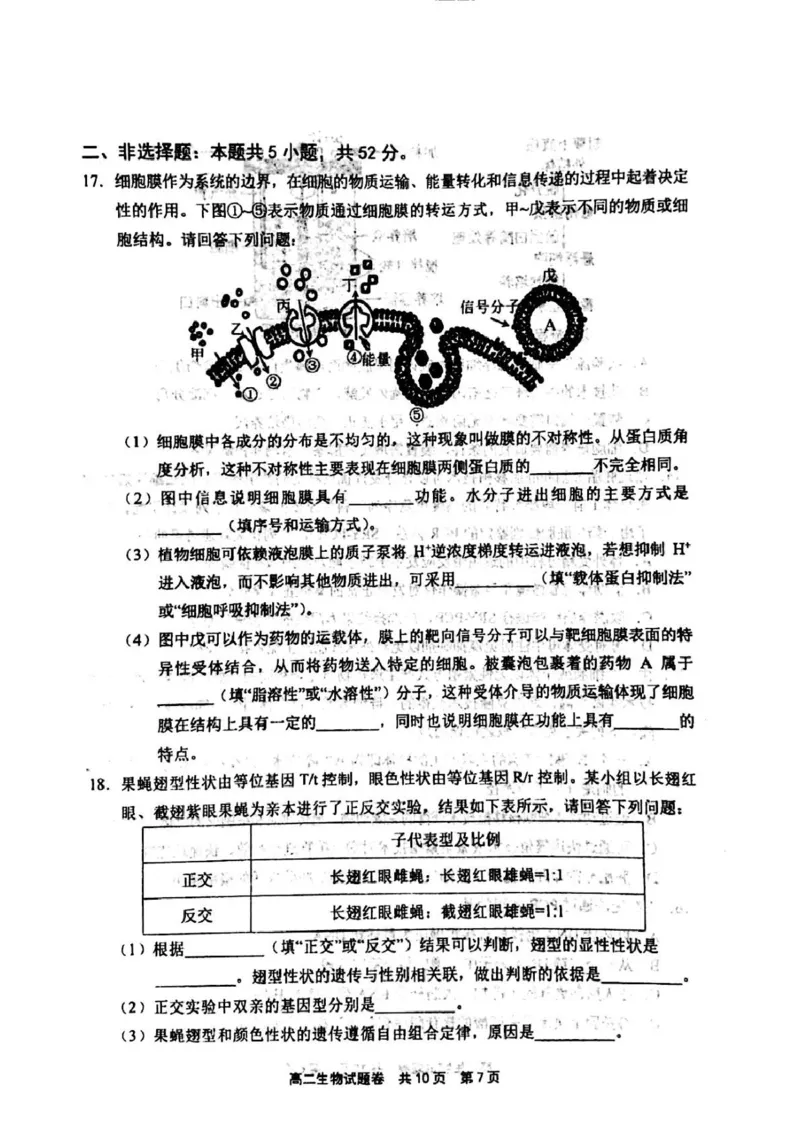 河南省安鹤新联盟2024-2025学年高二下学期5月联考生物试卷（图片版，含答案）_2024-2025高二（7-7月题库）_2025年05月试卷_0530河南省安鹤新联盟2024-2025学年高二下学期5月联考