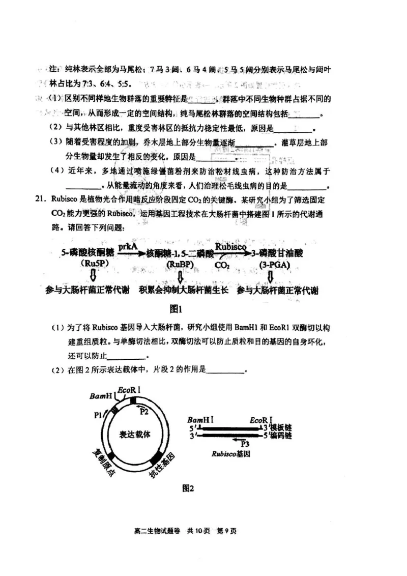 河南省安鹤新联盟2024-2025学年高二下学期5月联考生物试卷（图片版，含答案）_2024-2025高二（7-7月题库）_2025年05月试卷_0530河南省安鹤新联盟2024-2025学年高二下学期5月联考