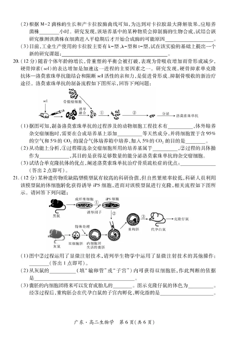 广东省2024-2025学年高二下学期期中联考试题生物PDF版含解析_2024-2025高二（7-7月题库）_2025年04月试卷(1)_0429广东省2024-2025学年高二下学期期中联考试题