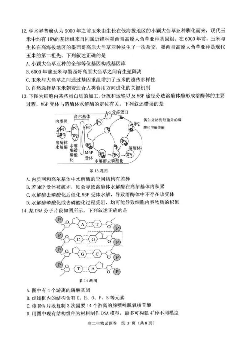 浙江省杭州市八县市2024-2025学年高二上学期期末学业水平测试生物PDF版含答案_2024-2025高二（7-7月题库）_2025年02月试卷_0225浙江省杭州市八县市2024-2025学年高二上学期期末学业水平测试