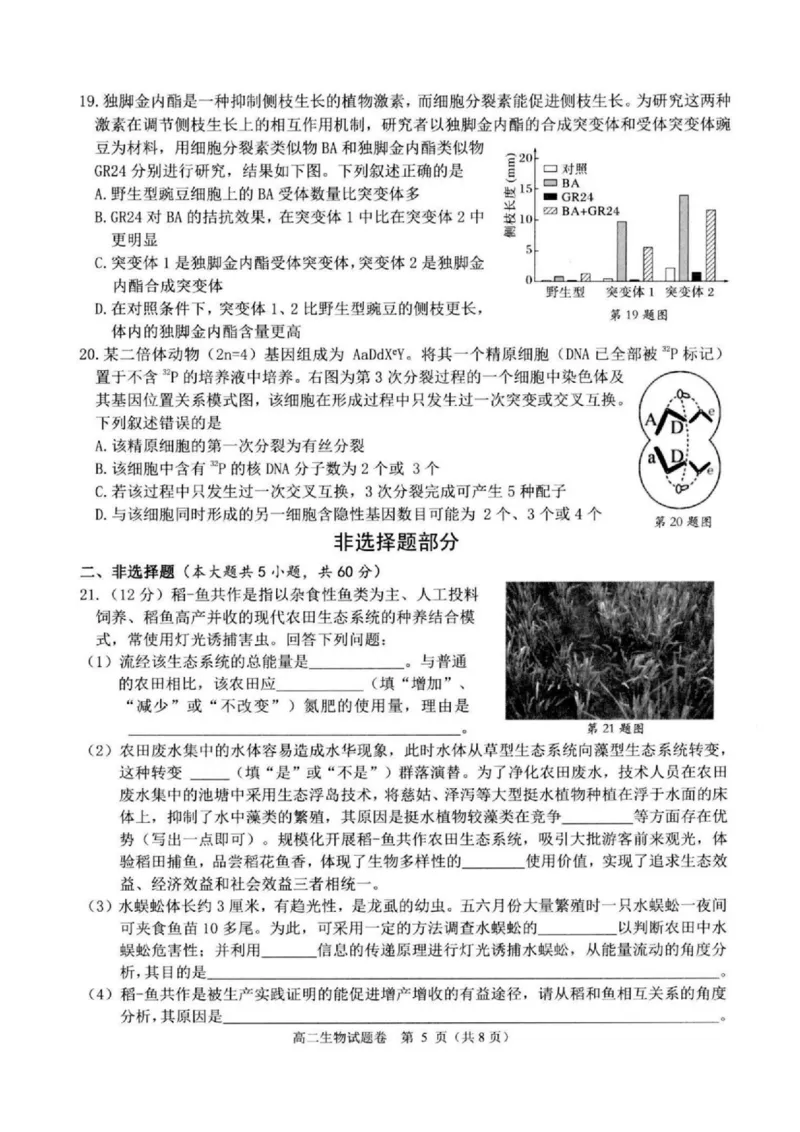 浙江省杭州市八县市2024-2025学年高二上学期期末学业水平测试生物PDF版含答案_2024-2025高二（7-7月题库）_2025年02月试卷_0225浙江省杭州市八县市2024-2025学年高二上学期期末学业水平测试