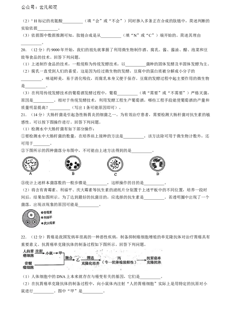 河南省开封市2023-2024学年高二下学期期末考试生物试题_2024-2025高二（7-7月题库）_2024年07月试卷_0721河南省开封市2023-2024学年第二学期高二期末调研考试