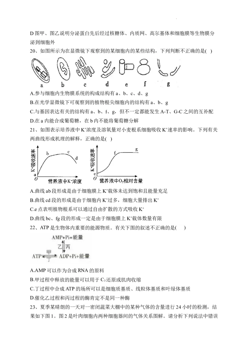 山西省朔州市怀仁市第九中学高中部2024届高三上学期11月期中生物(1)_2023年11月_01每日更新_26号_2024届山西省朔州市怀仁市第九中学高中部高三上学期11月期中