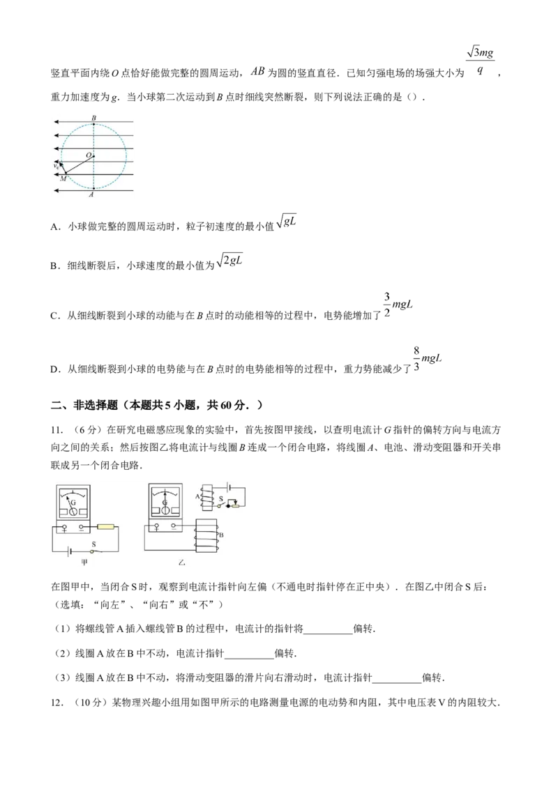 湖北省鄂东南省级示范高中教育教学改革联盟学校2024-2025学年高二上学期期中联考物理试题（含解析）_2024-2025高二（7-7月题库）_2024年11月试卷