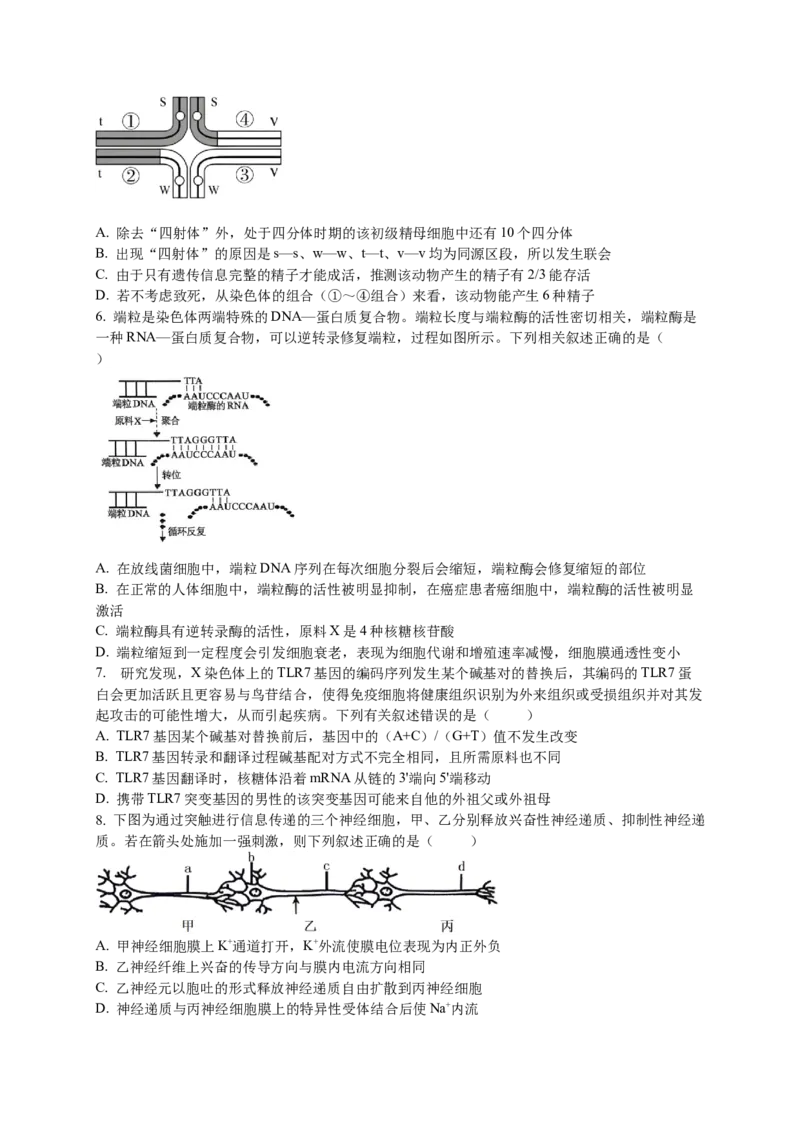 江苏省无锡市澄宜六校2024-2025学年高三上学期12月联考生物试卷_2024-2025高三（6-6月题库）_2024年12月试卷_1214江苏省无锡市澄宜六校2024-2025学年高三上学期12月联考（全科）