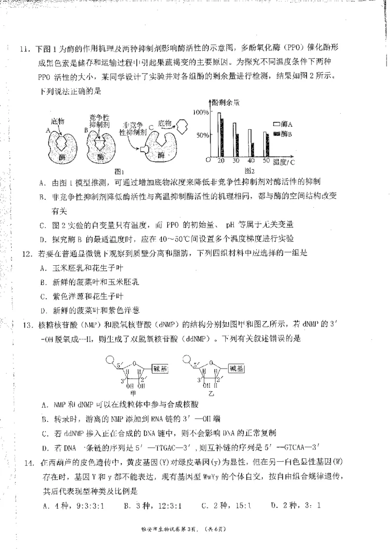 四川省雅安市22024-2025学年高三上学期11月&ldquo;零诊&rdquo;考试生物试卷_2024-2025高三（6-6月题库）_2024年11月试卷_1108四川省雅安市2024-2025学年高三上学期11月零诊试题