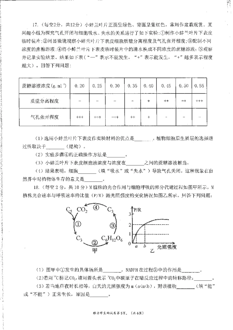 四川省雅安市22024-2025学年高三上学期11月&ldquo;零诊&rdquo;考试生物试卷_2024-2025高三（6-6月题库）_2024年11月试卷_1108四川省雅安市2024-2025学年高三上学期11月零诊试题