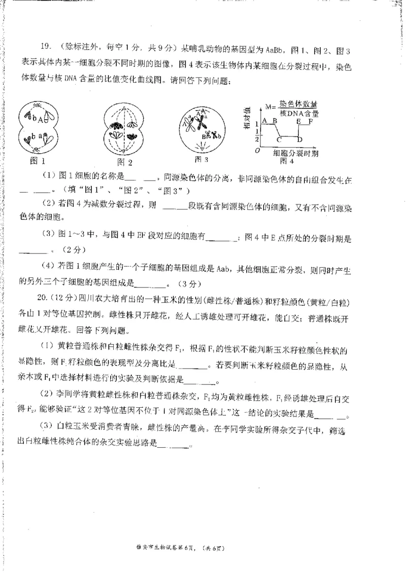 四川省雅安市22024-2025学年高三上学期11月&ldquo;零诊&rdquo;考试生物试卷_2024-2025高三（6-6月题库）_2024年11月试卷_1108四川省雅安市2024-2025学年高三上学期11月零诊试题