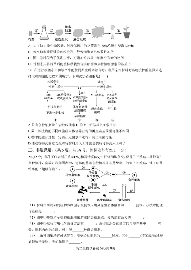 江苏省连云港市灌云县灌南县部分学校2024-2025学年高二下学期3月考试生物试题_2024-2025高二（7-7月题库）_2025年03月试卷