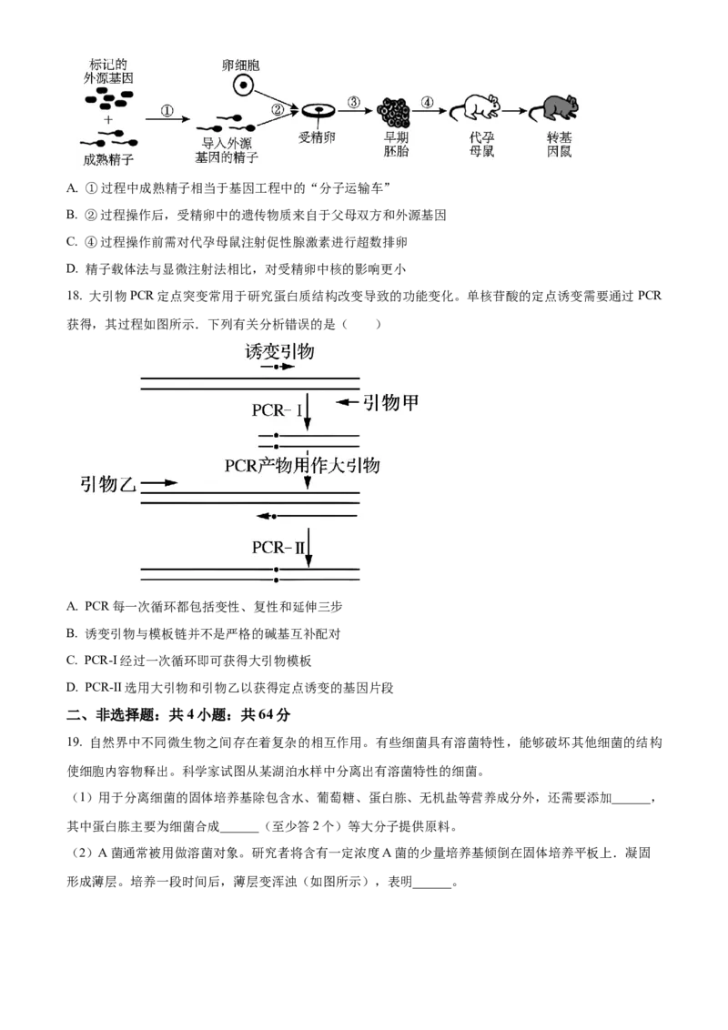 湖北省武汉市重点中学5G联合体2023-2024学年高二下学期期末联考生物试卷Word版无答案_2024-2025高二（7-7月题库）_2024年07月试卷