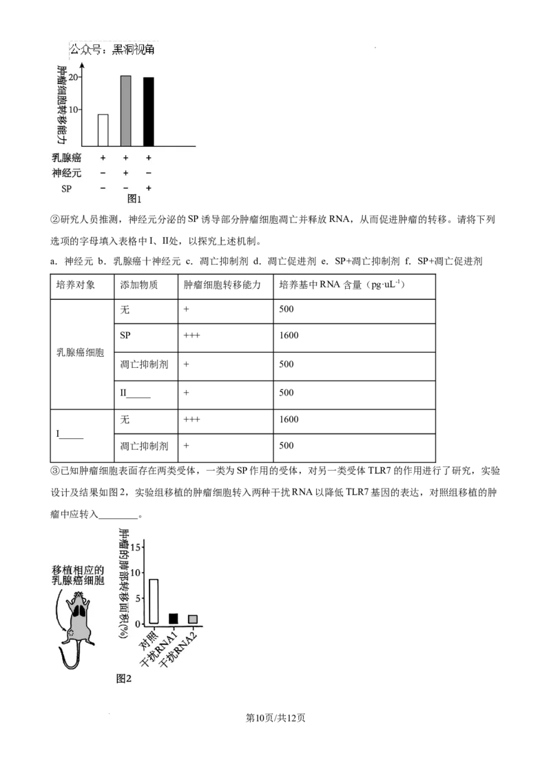 北京市通州区2025届高三上学期11月期中质量检测生物_2024-2025高三（6-6月题库）_2024年12月试卷_1218北京市通州区2025届高三上学期11月期中质量检测试卷