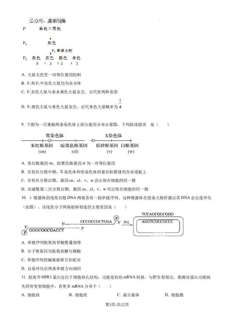北京市通州区2025届高三上学期11月期中质量检测生物_2024-2025高三（6-6月题库）_2024年12月试卷_1218北京市通州区2025届高三上学期11月期中质量检测试卷