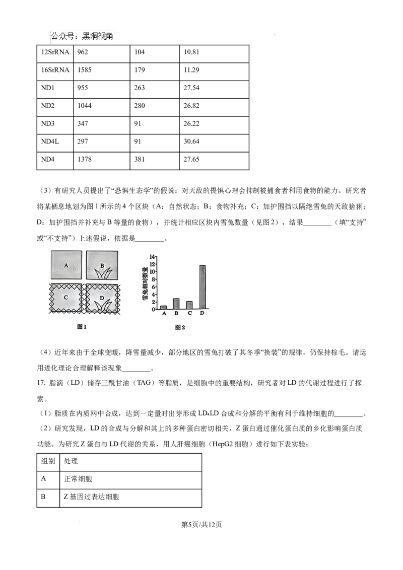 北京市通州区2025届高三上学期11月期中质量检测生物_2024-2025高三（6-6月题库）_2024年12月试卷_1218北京市通州区2025届高三上学期11月期中质量检测试卷