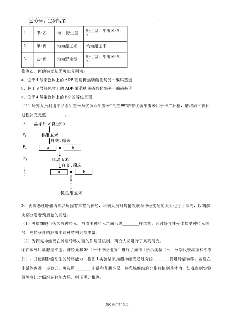北京市通州区2025届高三上学期11月期中质量检测生物_2024-2025高三（6-6月题库）_2024年12月试卷_1218北京市通州区2025届高三上学期11月期中质量检测试卷