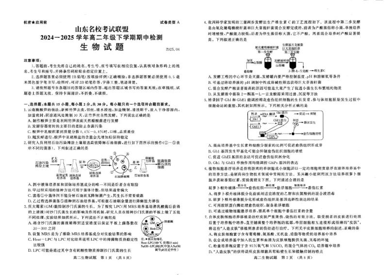 山东名校考试联盟2024&mdash;2025学年高二年级生物学学期中试题高二生物(2)_2024-2025高二（7-7月题库）_2025年6月试卷_0612山东省名校考试联盟2024-2025学年高二下学期期中考试