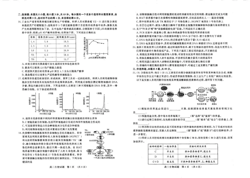 山东名校考试联盟2024&mdash;2025学年高二年级生物学学期中试题高二生物(2)_2024-2025高二（7-7月题库）_2025年6月试卷_0612山东省名校考试联盟2024-2025学年高二下学期期中考试