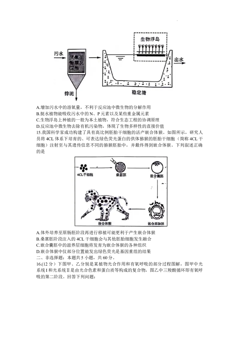 生物试题_2024年2月_01每日更新_19号_2024届福建省百校联考高三下学期正月联考_福建省百校联考2024届高三下学期正月联考生物