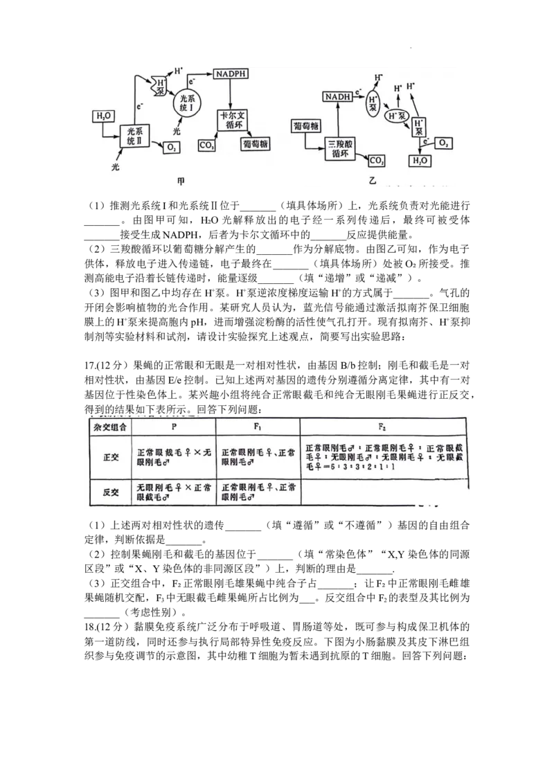 生物试题_2024年2月_01每日更新_19号_2024届福建省百校联考高三下学期正月联考_福建省百校联考2024届高三下学期正月联考生物