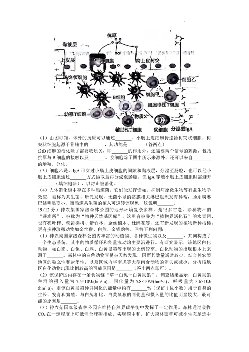 生物试题_2024年2月_01每日更新_19号_2024届福建省百校联考高三下学期正月联考_福建省百校联考2024届高三下学期正月联考生物