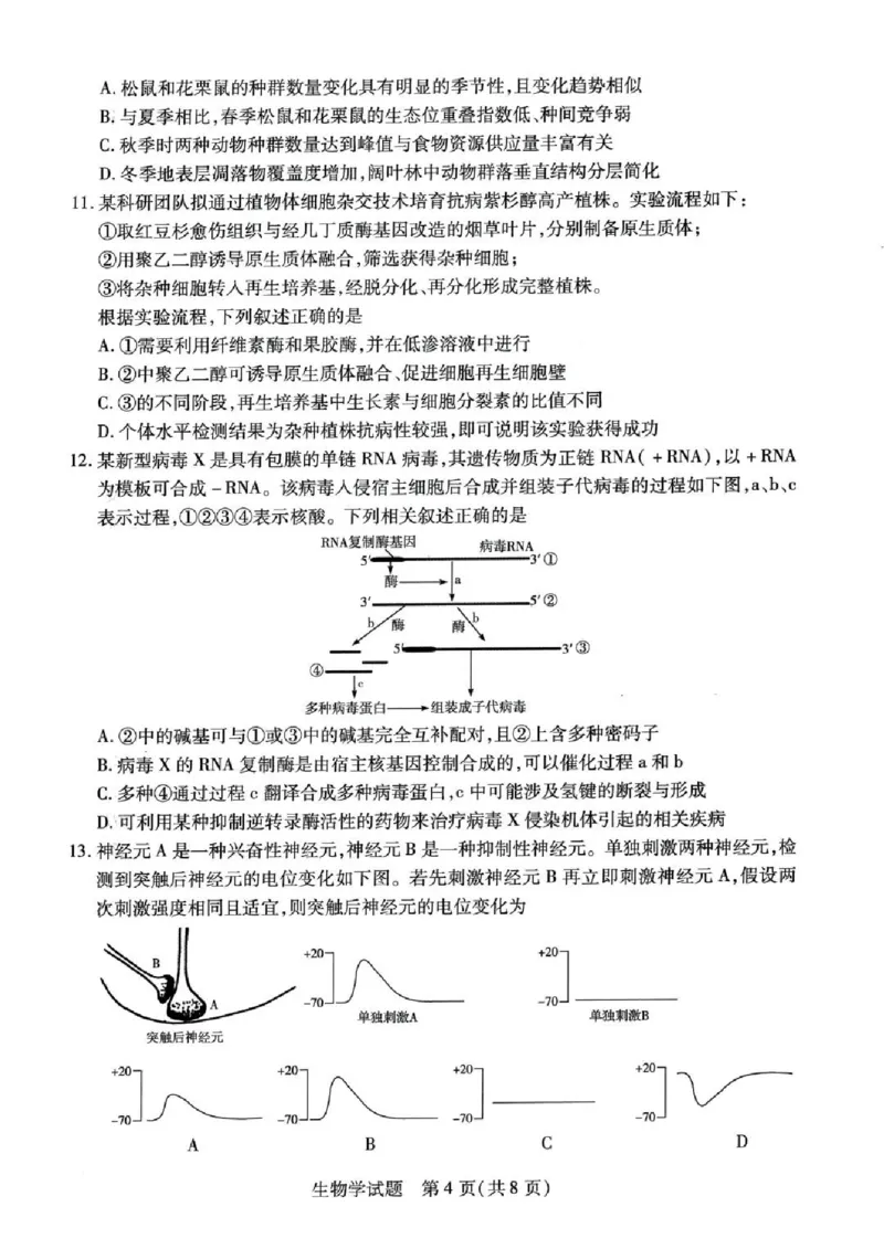 天一大联考2024-2025学年（下）高三第二次四省联考生物+答案_2024-2025高三（6-6月题库）_2025年05月试卷_0509天一大联考2024-2025学年（下）高三第二次四省联考