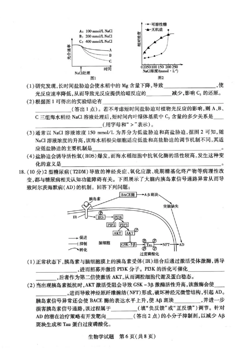 天一大联考2024-2025学年（下）高三第二次四省联考生物+答案_2024-2025高三（6-6月题库）_2025年05月试卷_0509天一大联考2024-2025学年（下）高三第二次四省联考