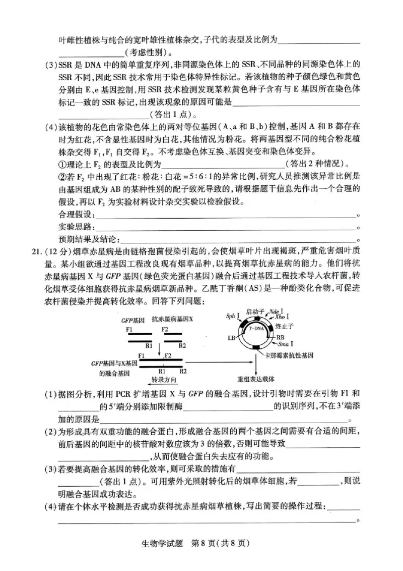 天一大联考2024-2025学年（下）高三第二次四省联考生物+答案_2024-2025高三（6-6月题库）_2025年05月试卷_0509天一大联考2024-2025学年（下）高三第二次四省联考