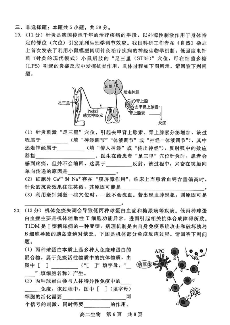 河北省邯郸市NT20名校联合体2025-2026学年高二上学期1月质检生物学试题(图片版含答案)_2024-2025高二（7-7月题库）_2026年1月高二