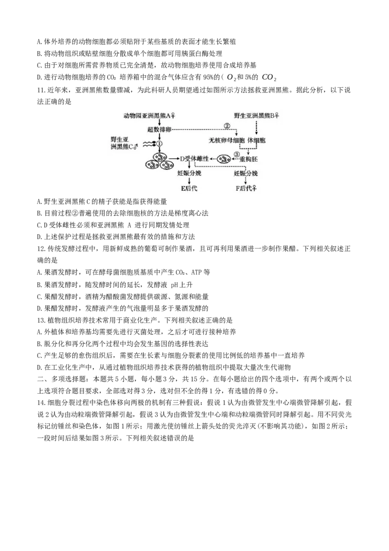 河北省邯郸市2023-2024学年高二第二(下)学期期末考试+生物_2024-2025高三（6-6月题库）_2024年07月试卷_240711河北省邯郸市2023-2024学年高二第二(下)学期期末考试