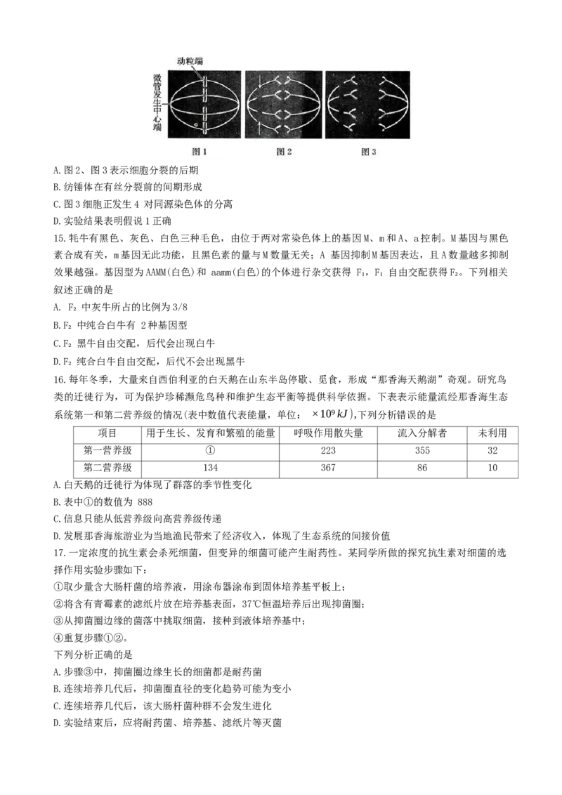 河北省邯郸市2023-2024学年高二第二(下)学期期末考试+生物_2024-2025高三（6-6月题库）_2024年07月试卷_240711河北省邯郸市2023-2024学年高二第二(下)学期期末考试