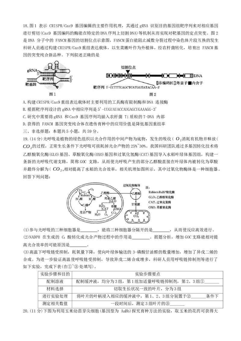 河北省邯郸市2023-2024学年高二第二(下)学期期末考试+生物_2024-2025高三（6-6月题库）_2024年07月试卷_240711河北省邯郸市2023-2024学年高二第二(下)学期期末考试