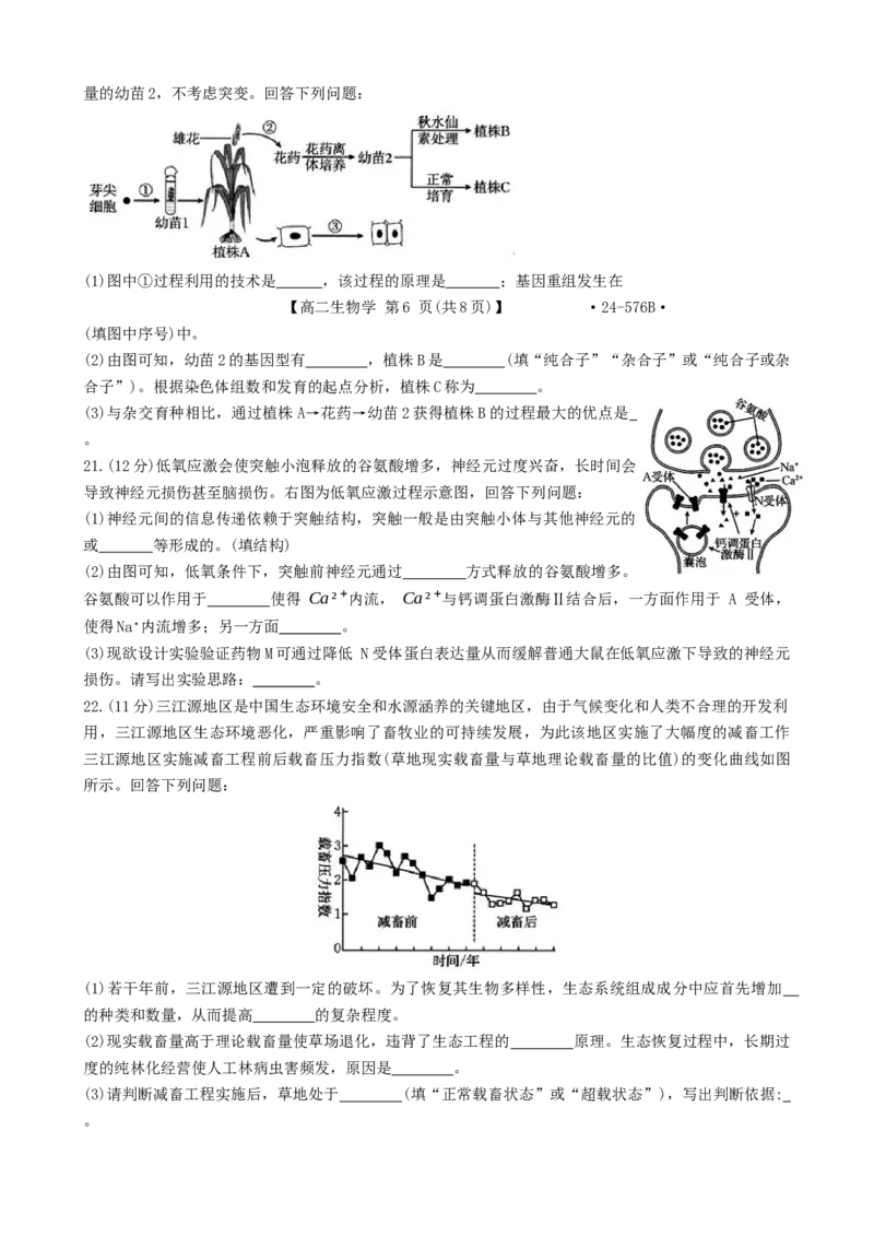 河北省邯郸市2023-2024学年高二第二(下)学期期末考试+生物_2024-2025高三（6-6月题库）_2024年07月试卷_240711河北省邯郸市2023-2024学年高二第二(下)学期期末考试