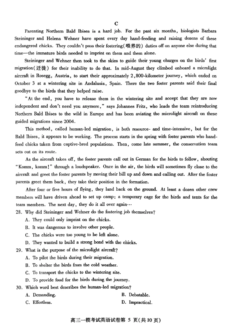 四川省内江市高三上学期第一次模拟考试英语+答案_2024-2025高三（6-6月题库）_2024年12月试卷_1209四川省内江市2025届高三上学期第一次模拟考试（全科）