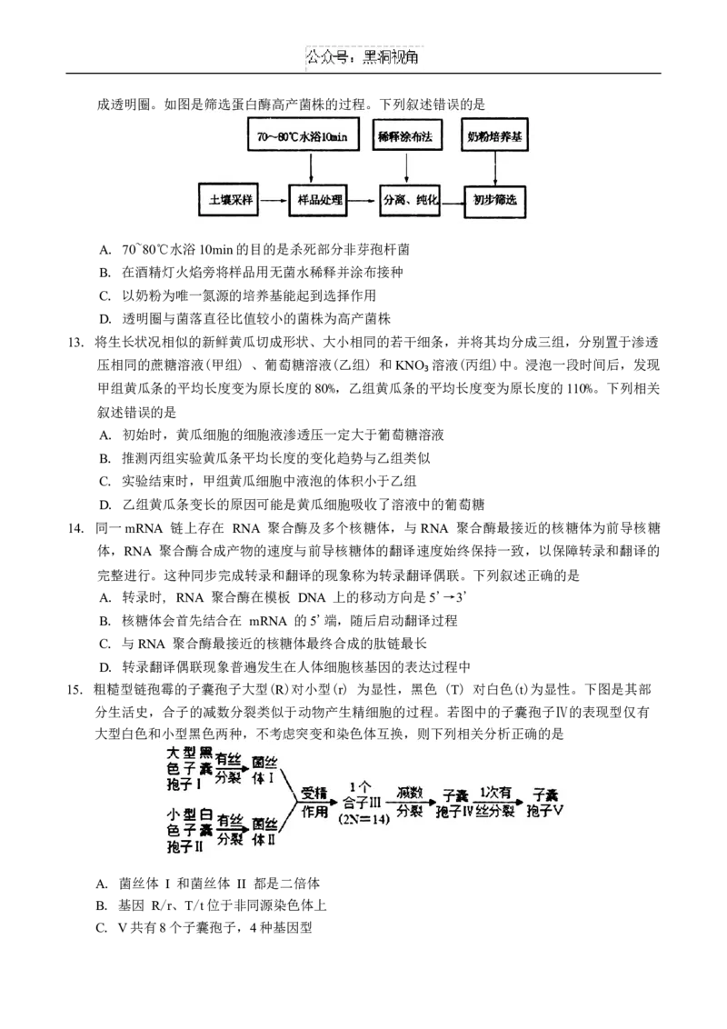 吉林省长春市2025届高三质量监测(一)生物试题（含答案）_2024-2025高三（6-6月题库）_2024年11月试卷_1115吉林省长春市2024-2025学年高三上学期质量监测（一）（全科）