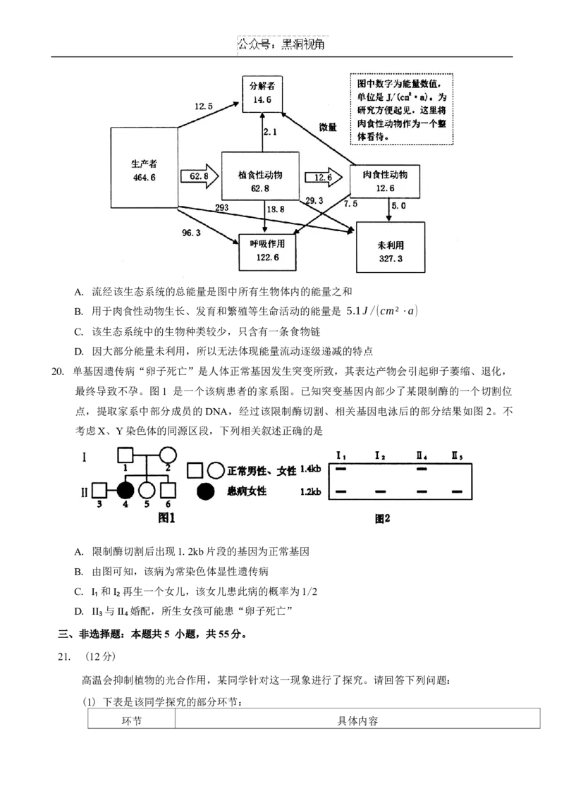 吉林省长春市2025届高三质量监测(一)生物试题（含答案）_2024-2025高三（6-6月题库）_2024年11月试卷_1115吉林省长春市2024-2025学年高三上学期质量监测（一）（全科）