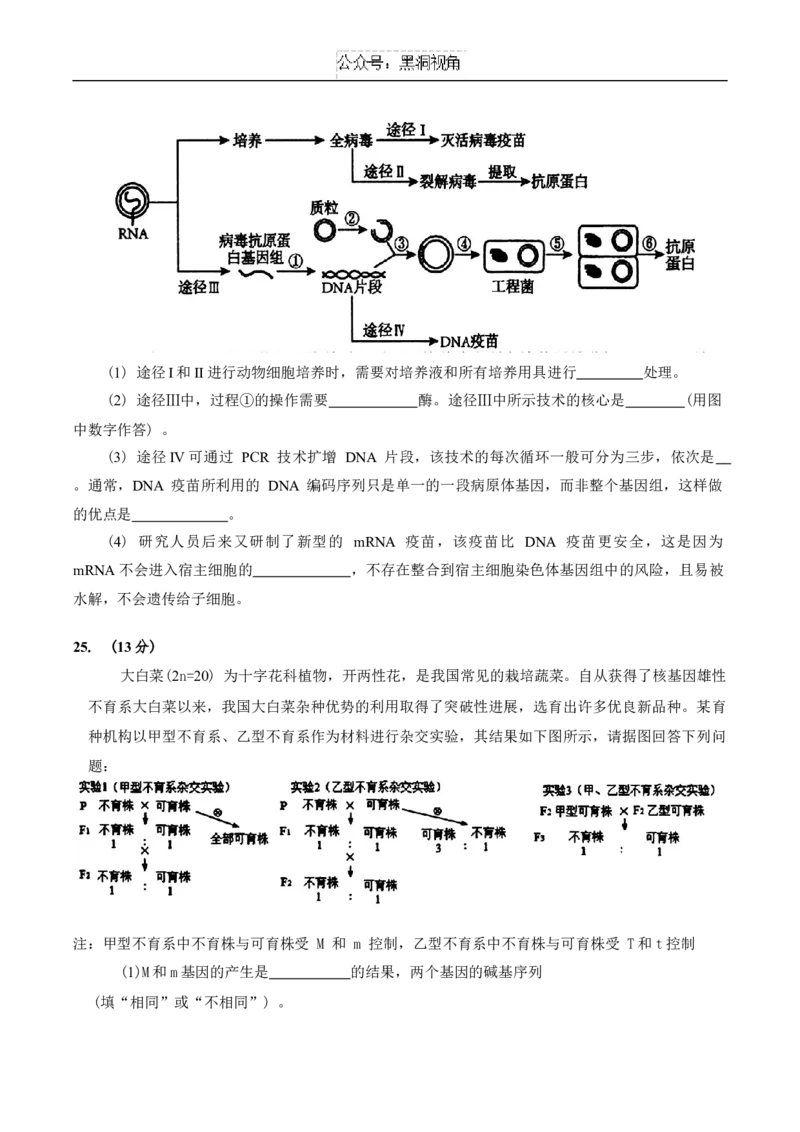 吉林省长春市2025届高三质量监测(一)生物试题（含答案）_2024-2025高三（6-6月题库）_2024年11月试卷_1115吉林省长春市2024-2025学年高三上学期质量监测（一）（全科）