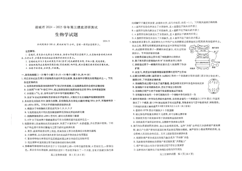山西省运城市2024-2025学年高三上学期9月摸底调研生物试题_2024-2025高三（6-6月题库）_2024年09月试卷_0930山西省运城市2024-2025学年高三上学期9月摸底调研测试
