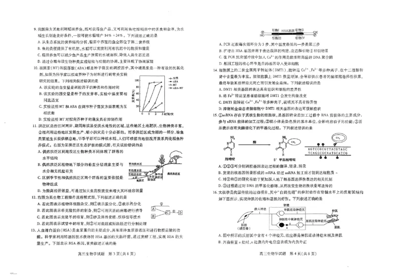 山西省运城市2024-2025学年高三上学期9月摸底调研生物试题_2024-2025高三（6-6月题库）_2024年09月试卷_0930山西省运城市2024-2025学年高三上学期9月摸底调研测试