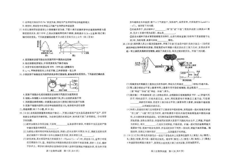山西省运城市2024-2025学年高三上学期9月摸底调研生物试题_2024-2025高三（6-6月题库）_2024年09月试卷_0930山西省运城市2024-2025学年高三上学期9月摸底调研测试