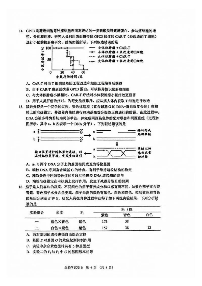 广州零模2025届高三12月调研考生物试题_2024-2025高三（6-6月题库）_2024年12月试卷_12242025届广东省广州市高三年级12月调研测试（零模）