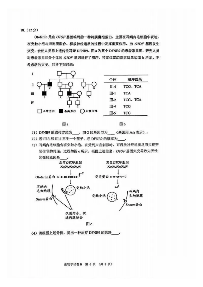 广州零模2025届高三12月调研考生物试题_2024-2025高三（6-6月题库）_2024年12月试卷_12242025届广东省广州市高三年级12月调研测试（零模）
