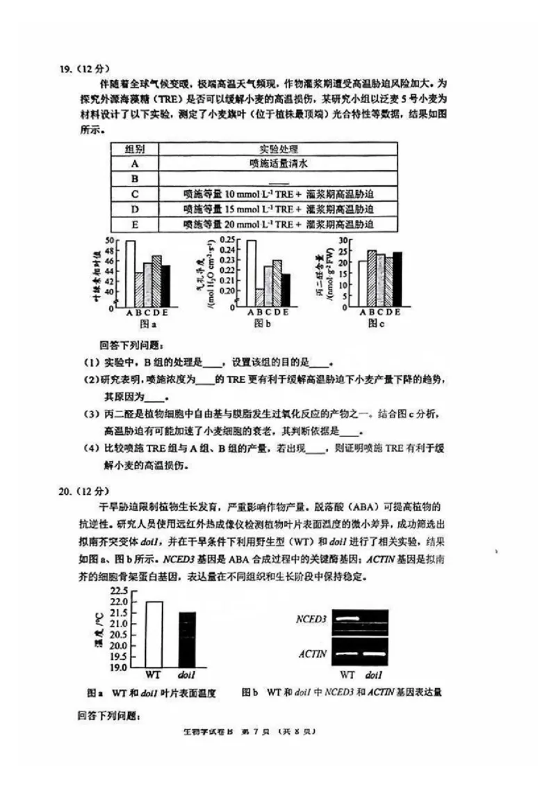 广州零模2025届高三12月调研考生物试题_2024-2025高三（6-6月题库）_2024年12月试卷_12242025届广东省广州市高三年级12月调研测试（零模）