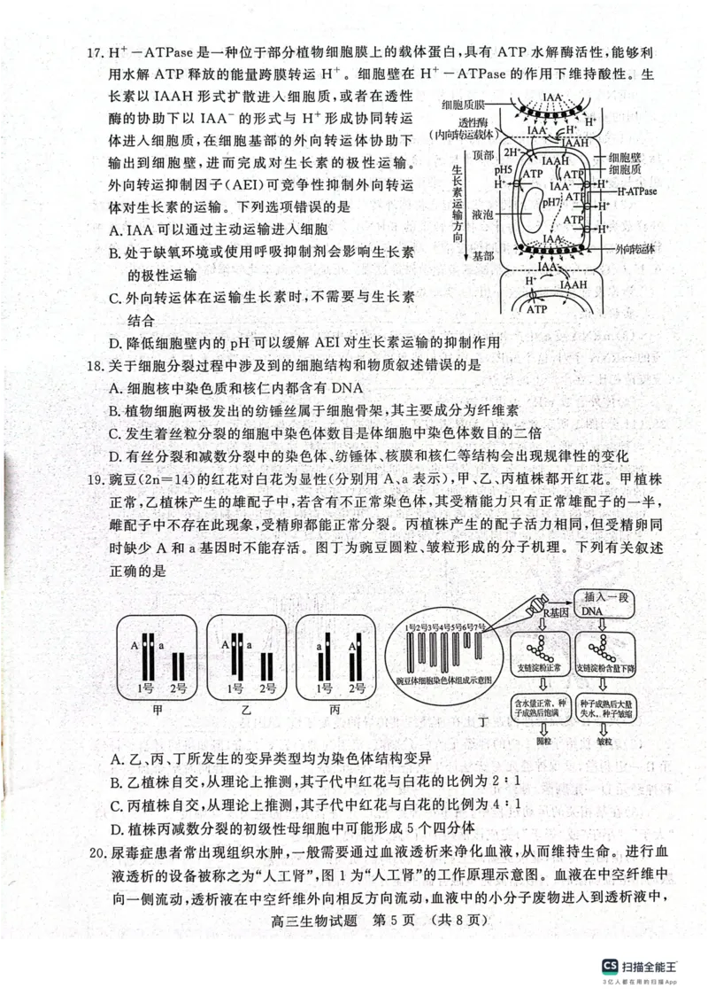 山东省名校考试联盟2024届高三上学期11月期中检测（济南期中）生物(1)_2023年11月_01每日更新_15号_2024届山东省名校考试联盟高三上学期11月期中检测（济南期中）