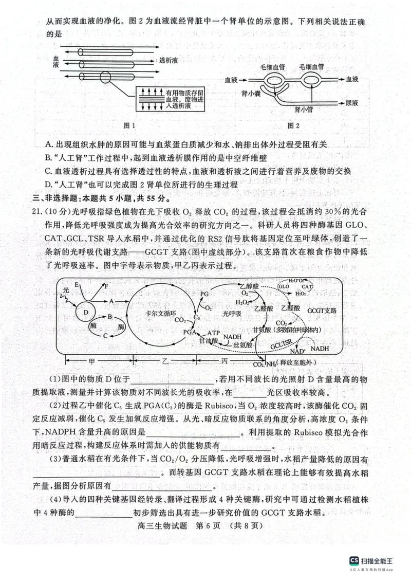 山东省名校考试联盟2024届高三上学期11月期中检测（济南期中）生物(1)_2023年11月_01每日更新_15号_2024届山东省名校考试联盟高三上学期11月期中检测（济南期中）
