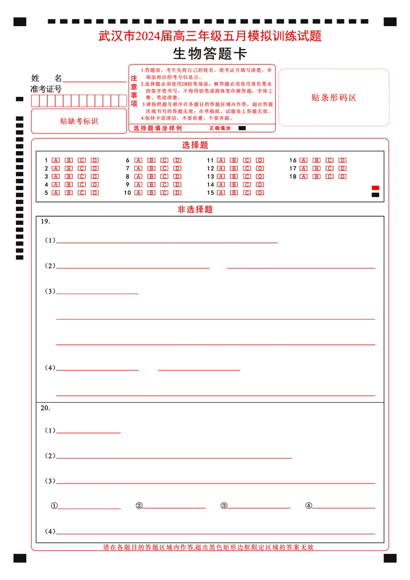 生物彩色答题卡-曲线_2024年5月_01按日期_25号_2024届湖北省武汉市高三五月模拟训练试题_湖北省武汉市2024届高三年级下学期五月模拟训练试题生物
