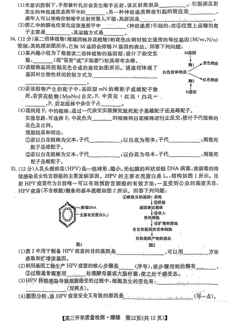 理综试题__2024年2月_01每日更新_22号_2024届山西卓越联盟高三开学质量检测(243577Z)_2024山西卓越联盟高三开学质量检测(243577Z)理综