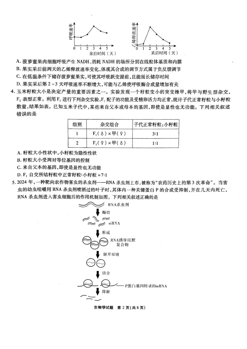 安徽六校联考25届高三生物2月联_2024-2025高三（6-6月题库）_2025年02月试卷_0216安徽省六校2024-2025学年高三下学期2月素质检测考试（全科）