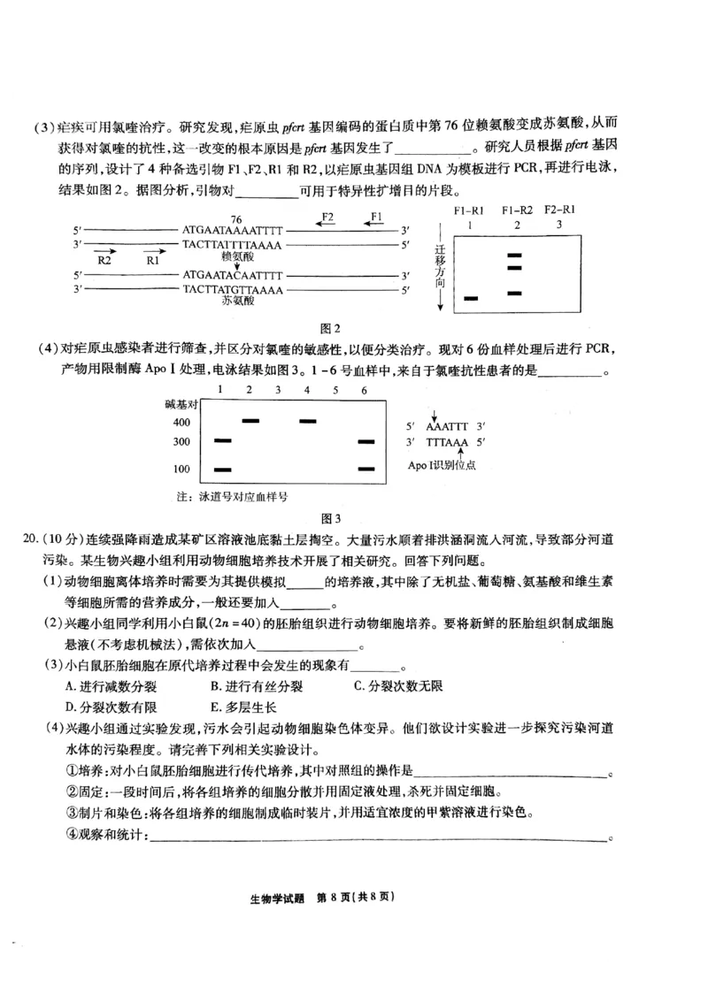 安徽六校联考25届高三生物2月联_2024-2025高三（6-6月题库）_2025年02月试卷_0216安徽省六校2024-2025学年高三下学期2月素质检测考试（全科）