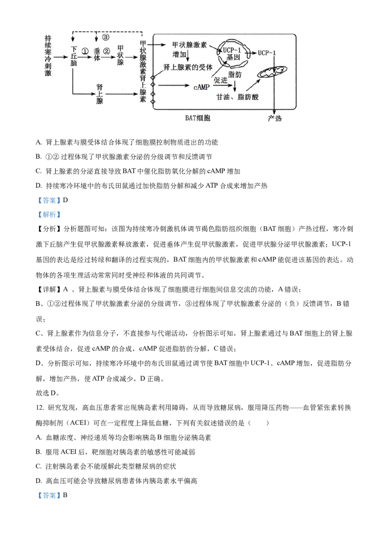 江西省景德镇市2024-2025学年高二上学期11月期中生物试题Word版含解析_2024-2025高二（7-7月题库）_2024年11月试卷_1127江西省景德镇市2024-2025学年高二上学期11月期中考试